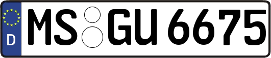 MS-GU6675
