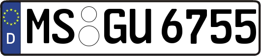 MS-GU6755