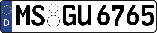 MS-GU6765