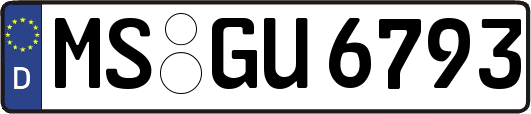 MS-GU6793