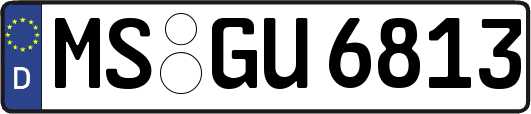 MS-GU6813