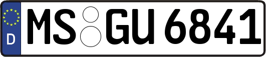 MS-GU6841