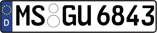 MS-GU6843