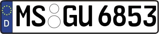 MS-GU6853