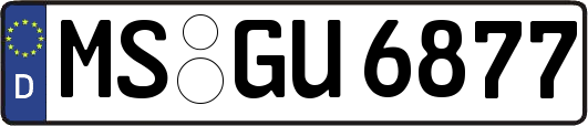 MS-GU6877