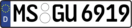 MS-GU6919