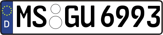 MS-GU6993
