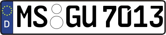 MS-GU7013