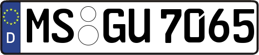 MS-GU7065
