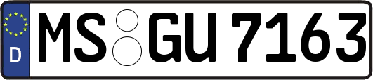 MS-GU7163