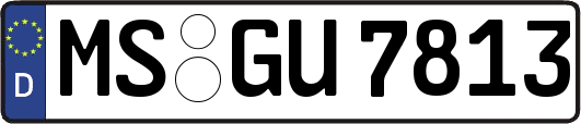 MS-GU7813