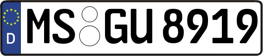 MS-GU8919
