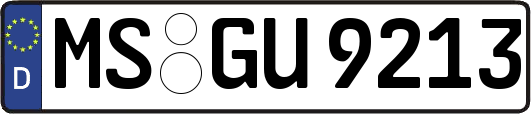 MS-GU9213