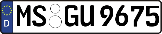 MS-GU9675
