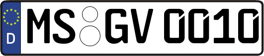 MS-GV0010