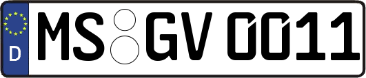MS-GV0011
