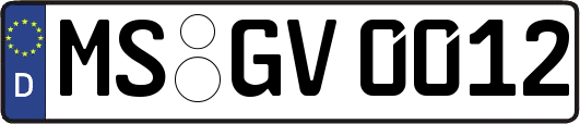 MS-GV0012