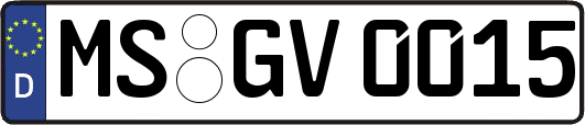 MS-GV0015