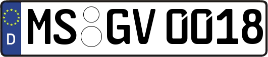 MS-GV0018