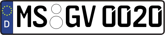 MS-GV0020