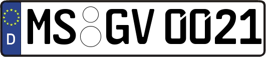 MS-GV0021