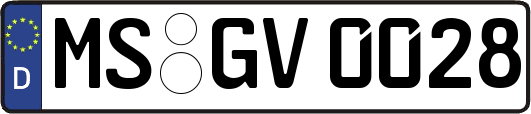 MS-GV0028