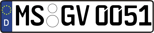 MS-GV0051