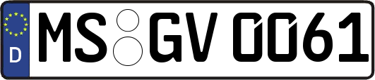 MS-GV0061
