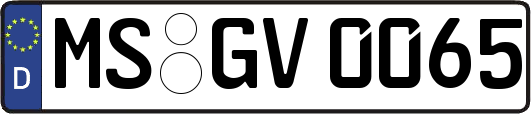 MS-GV0065