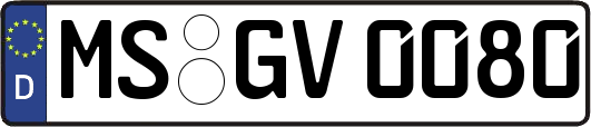 MS-GV0080