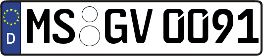 MS-GV0091