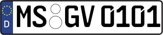 MS-GV0101