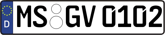 MS-GV0102