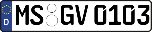 MS-GV0103