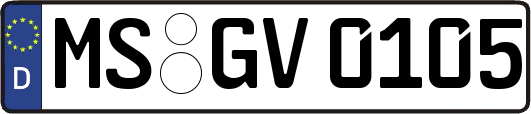 MS-GV0105