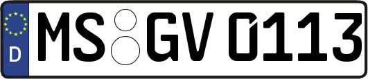MS-GV0113