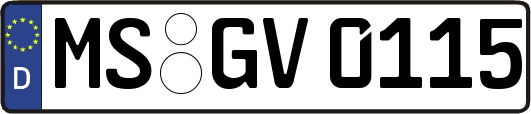 MS-GV0115