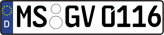 MS-GV0116