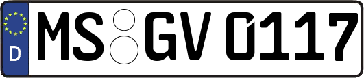 MS-GV0117