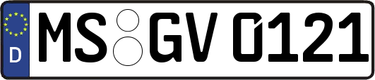 MS-GV0121