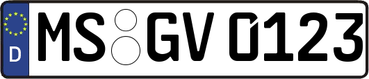 MS-GV0123