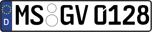 MS-GV0128