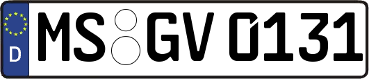 MS-GV0131