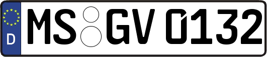 MS-GV0132