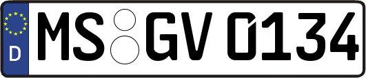 MS-GV0134