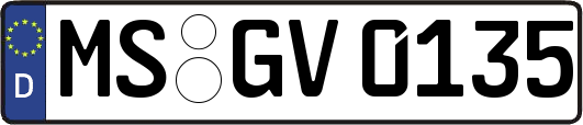 MS-GV0135