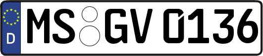 MS-GV0136