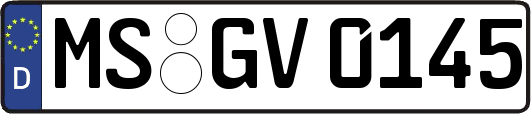 MS-GV0145