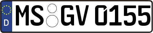 MS-GV0155