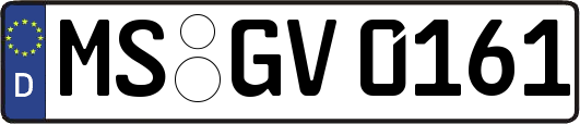 MS-GV0161